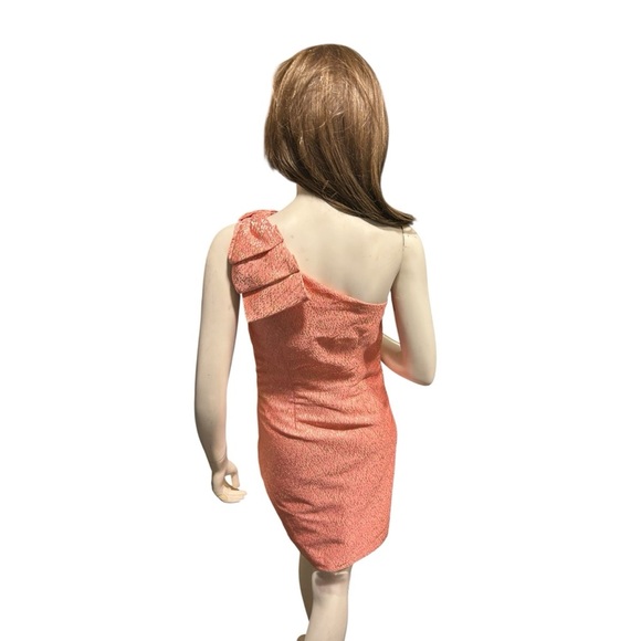 Britt Ryan Riogrand Pink with Metallic Gold Size S Dress NWOT - Picture 2 of 4